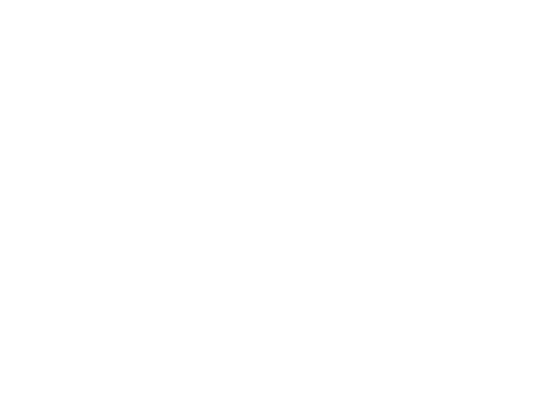 Diaz Guest House