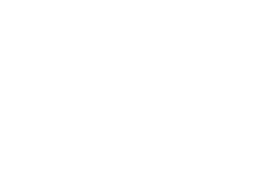 Diaz Guest House